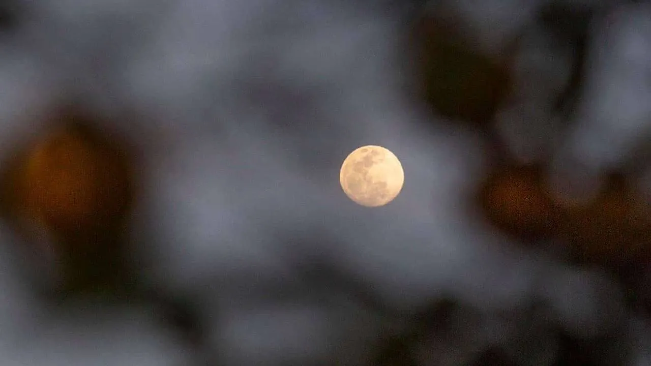 Con el comienzo de julio, se acerca un evento astronómico que no te puedes perder: la luna llena se presentará la noche del jueves 10, cuando nuestro satélite natural alcanzará su punto más brillante e iluminará el cielo con todo su esplendor.
