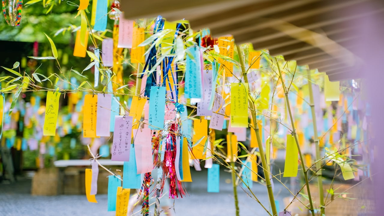 Festival Natsu Matsuri