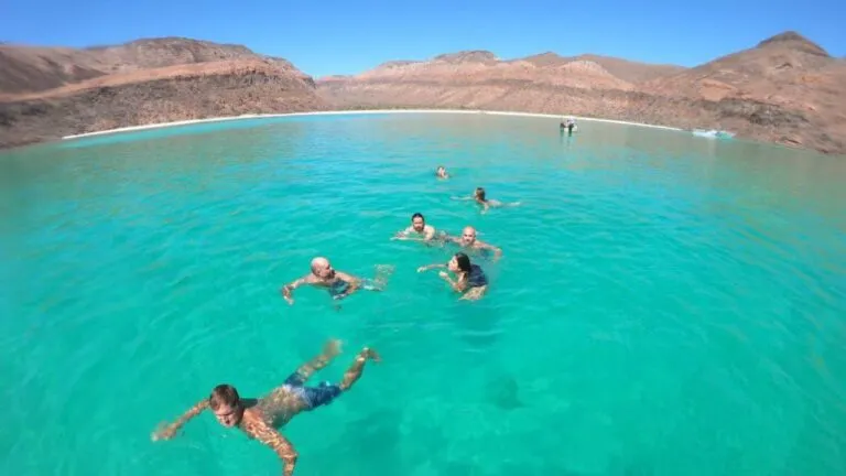 Imagen del artículo Isla Espíritu Santo: Aventura marina en La Paz