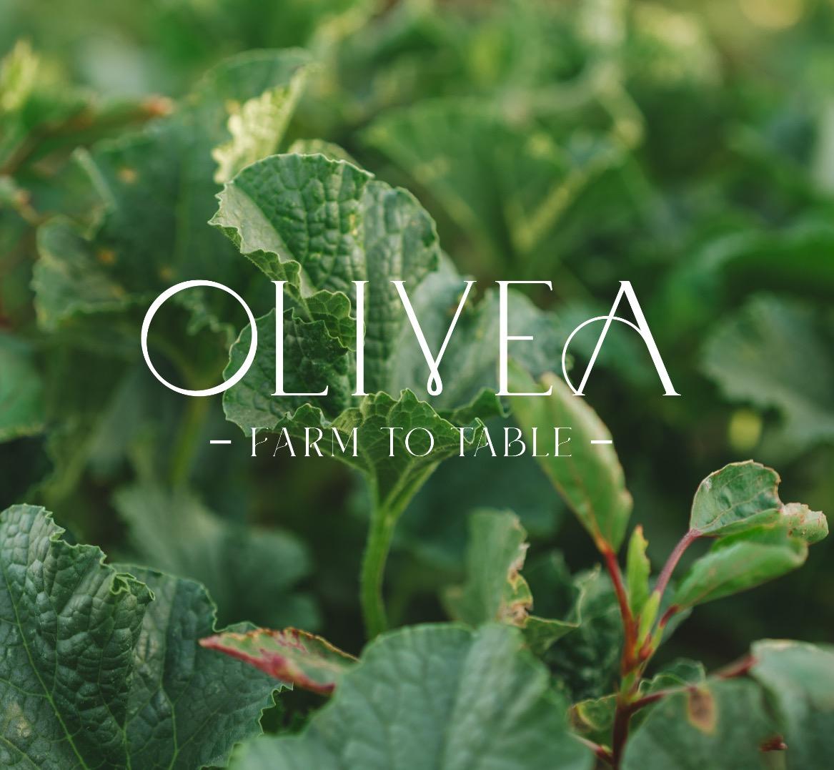 Olivea.