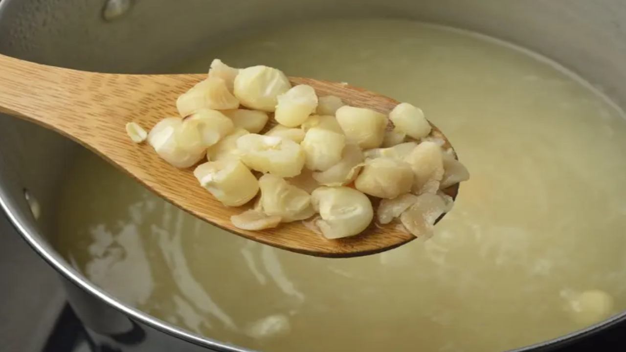 Del campo a tu mesa: el origen del auténtico maíz pozolero