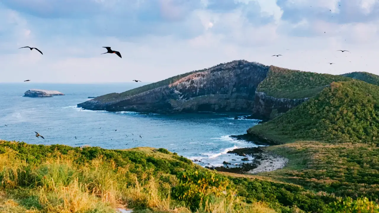 Isla Isabel