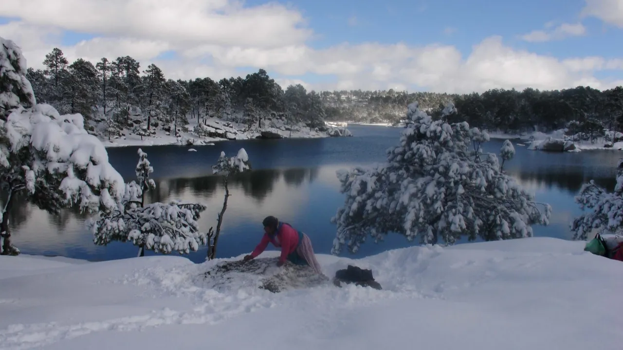 lago Arareko