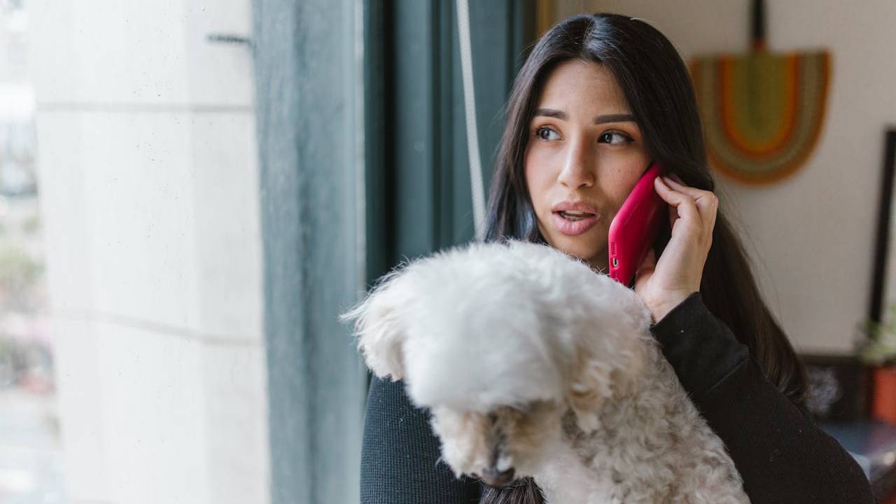 En la Ciudad de México ya no podrán negarte vivienda por tener niños o mascotas