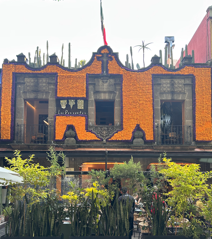 Festival de Muertos 2025 en Los Danzantes Coyoacán