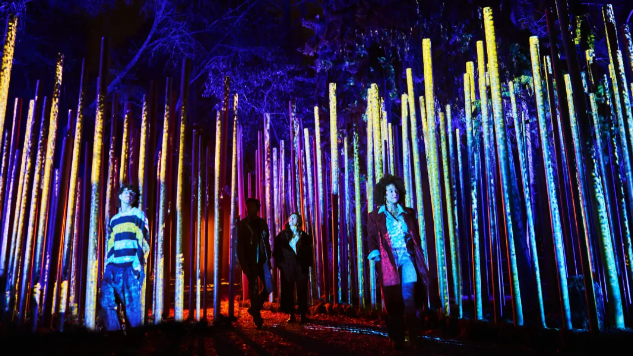 Light Cycles