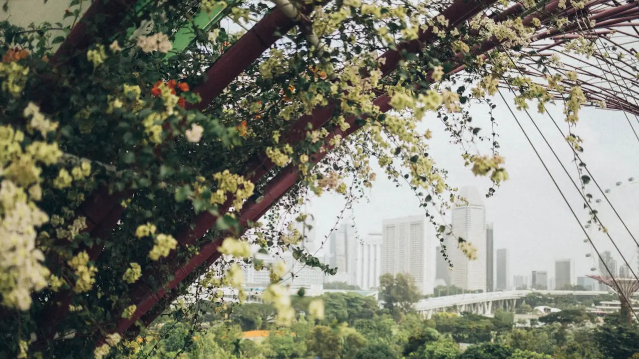 ciudades sustentables