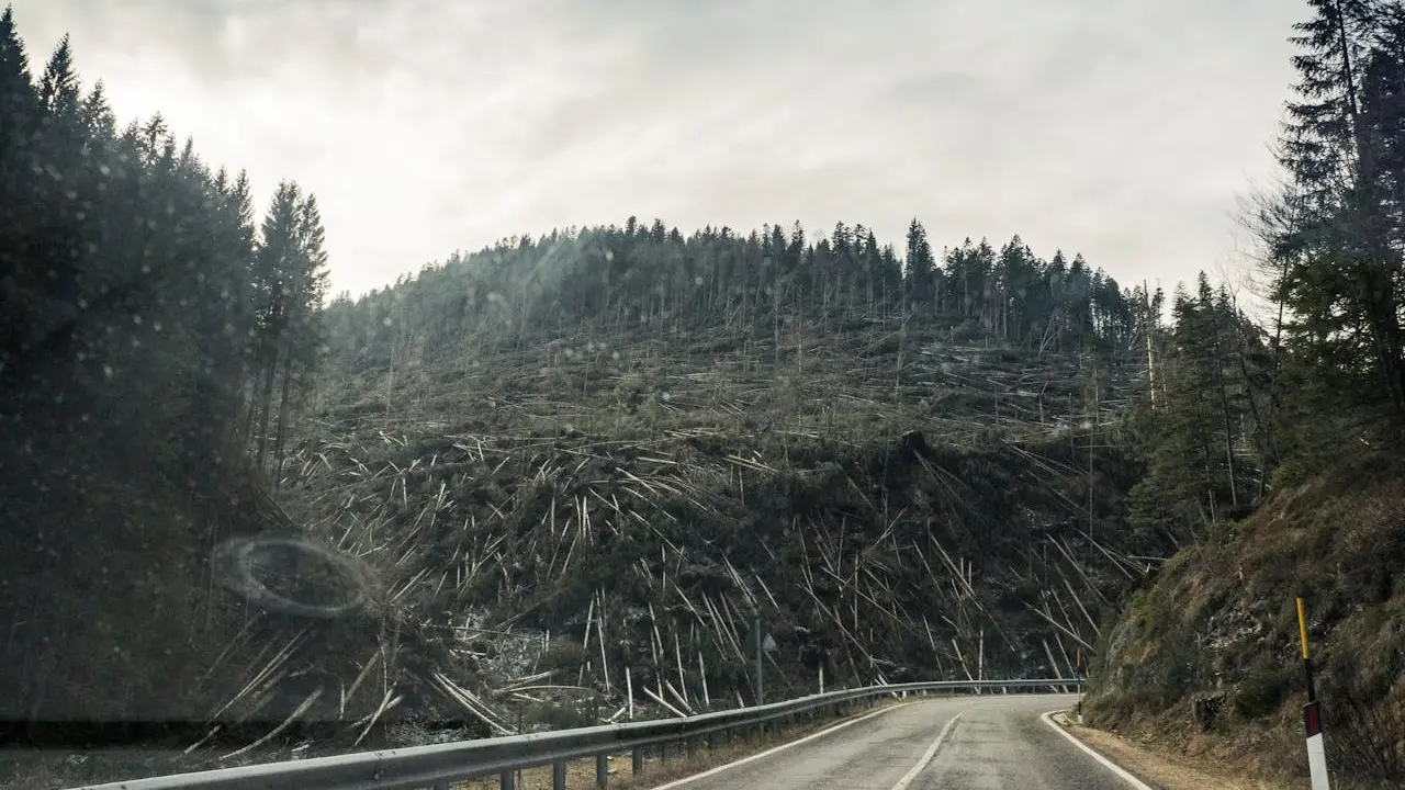 desastres naturales