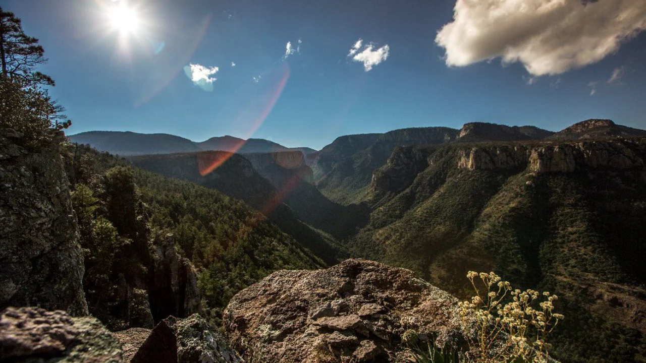 Foto: Gobierno de México