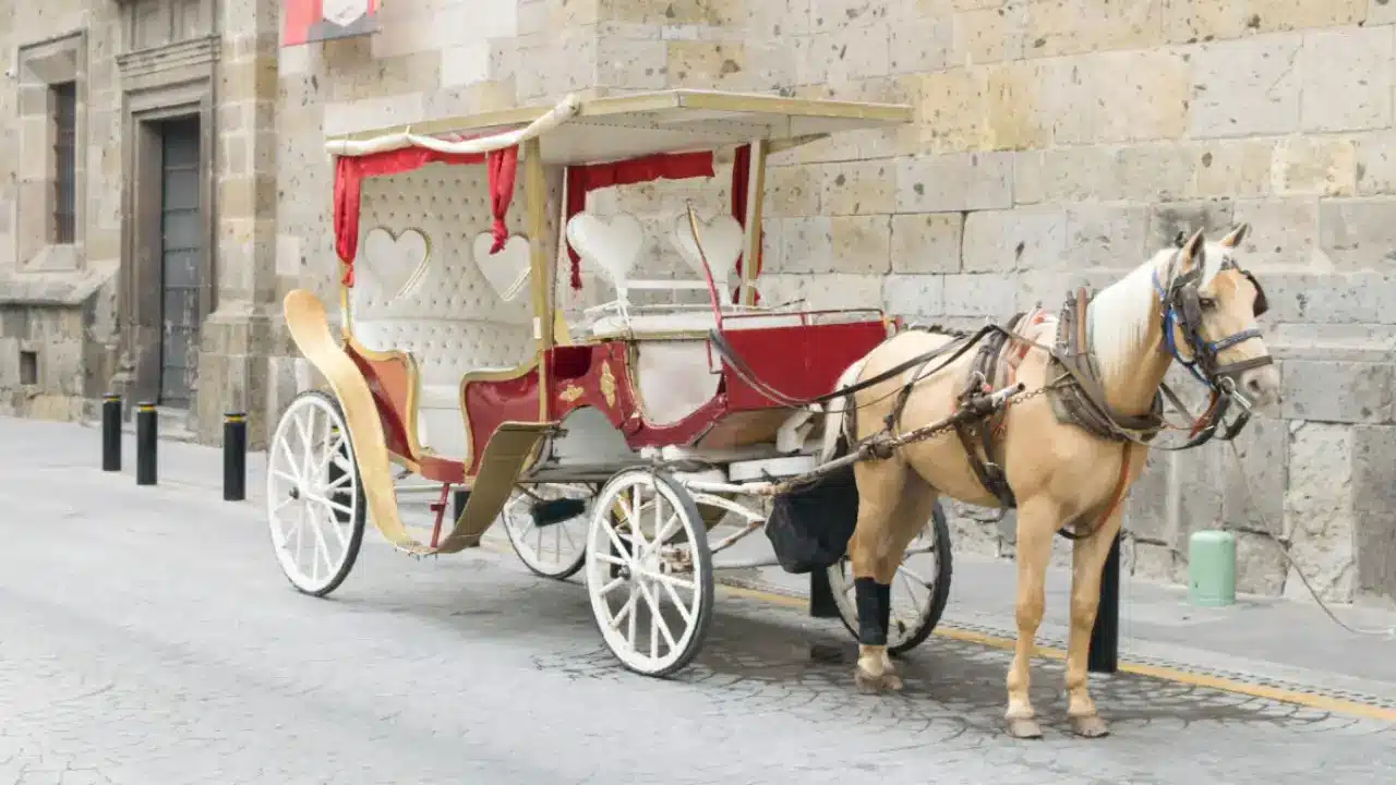 Calandrias en Guadalajara: recorridos mágicos por historia, cultura y gastronomía