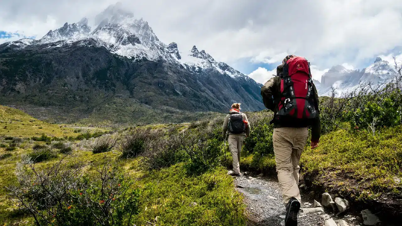 Una guía básica de supervivencia ayuda a prevenir riesgos y tomar decisiones seguras. Antes de salir, es importante conocer el clima, el terreno y la distancia. Con información clara, cada caminata se vuelve más segura y disfrutable.