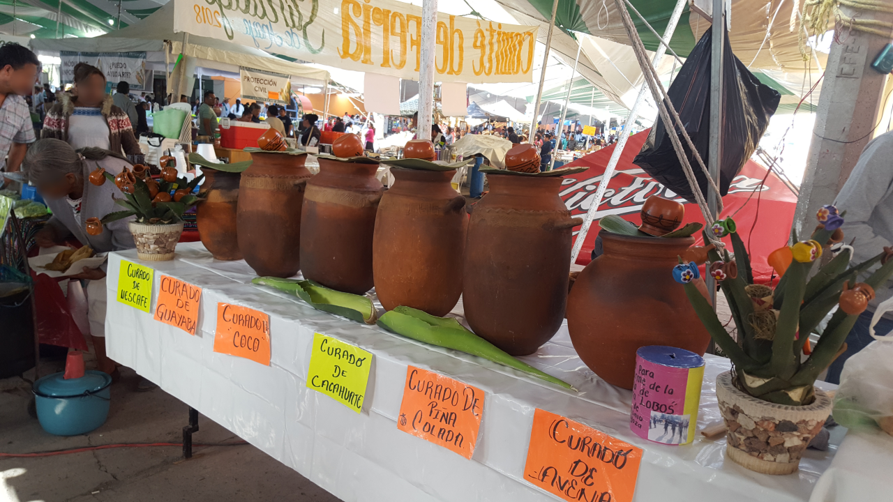 Feria del Pulque y la Barbacoa