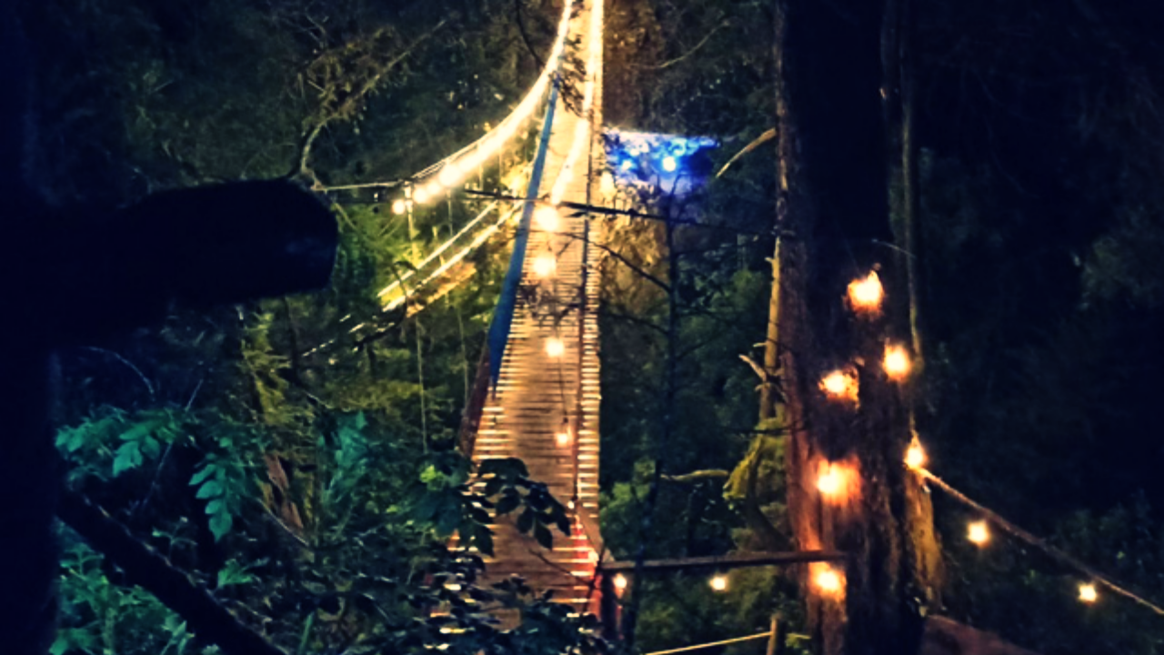 puentes colgantes iluminados