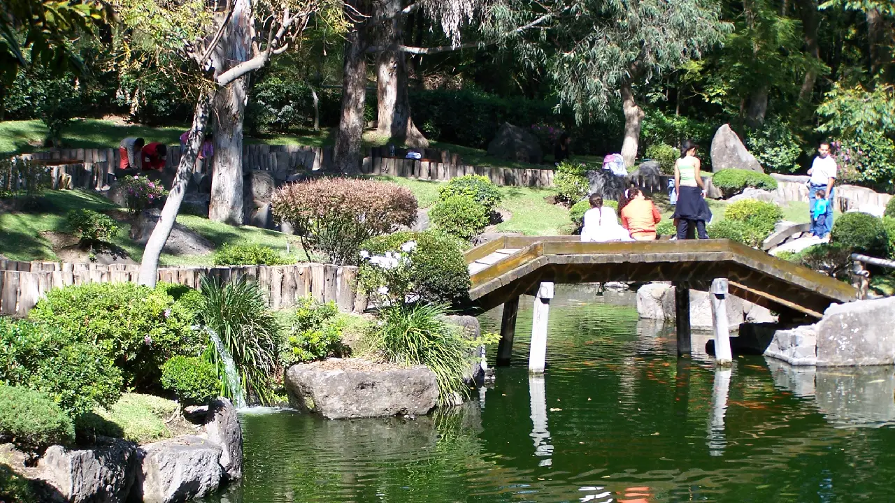 recorrido Bosque Los Colomos