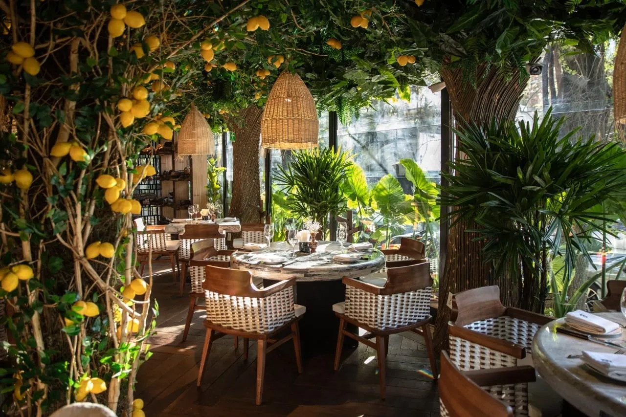 Restaurante Beluga, ubicado en Masaryk, Polanco.