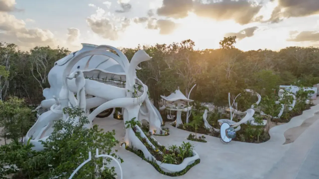 Gym frente al mar abre en Tulum: así es Oceanik Gym en Azulik