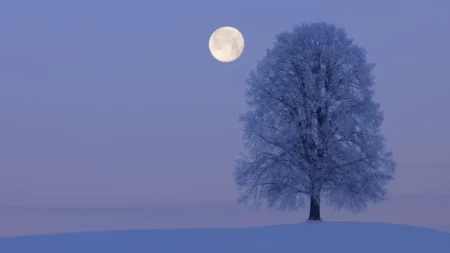 Luna de Nieve 2026: el espectáculo astronómico que marca el inicio del nuevo año lunar