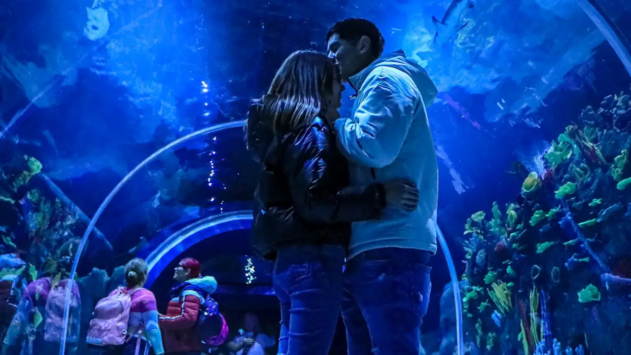 San Valentín Acuario Michin.