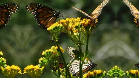 La aventura está pensada para que vivas una mezcla de naturaleza, cultura y tradición.