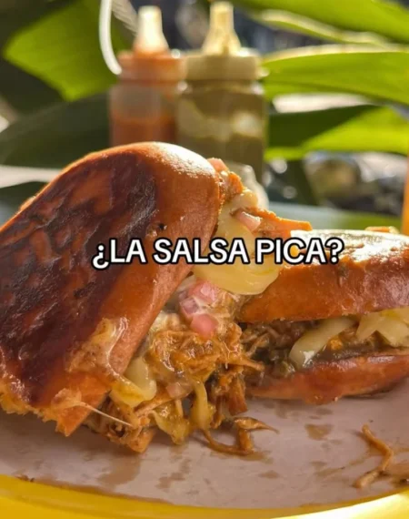 Cochinita pibil en Escándalo.