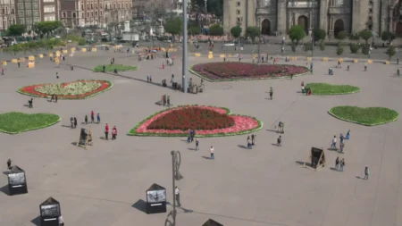 Jardín del Buen Amor llega al Zócalo CDMX con más de 10 mil flores y cine gratis