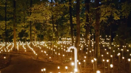 El recorrido completo dura aproximadamente 60 a 90 minutos y el acceso se organiza por intervalos de 15 minutos para que cada grupo pueda vivir la experiencia con tranquilidad.