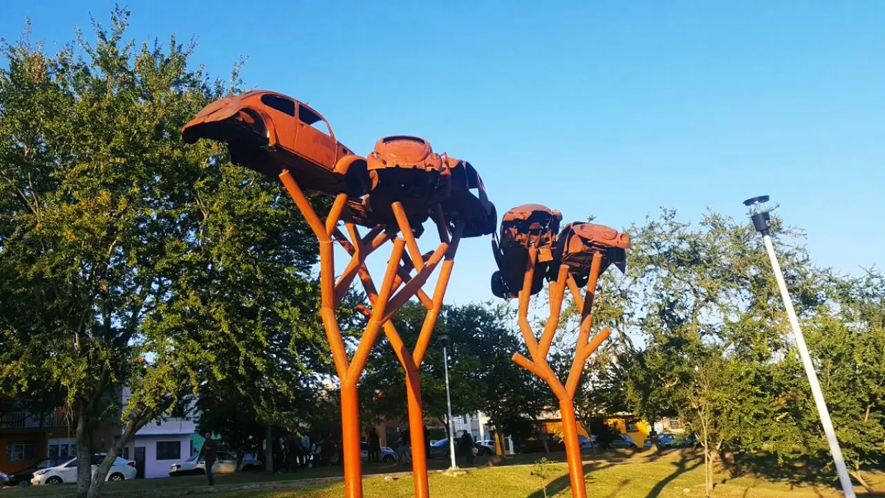 árbol de vochos