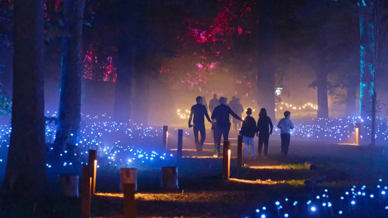 Light Cycles