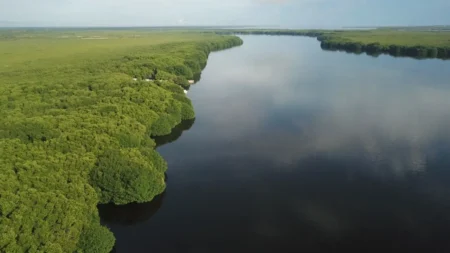 Laguna Chacmuchuc: destino en crecimiento para el ecoturismo en Cancún