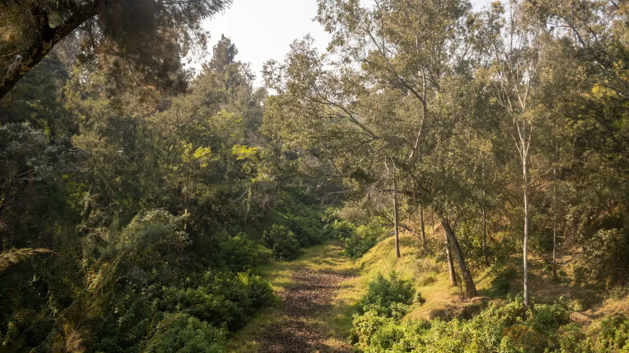 Parque escondido en Lomas de Chapultepec: descubre Barranca de Barrilaco