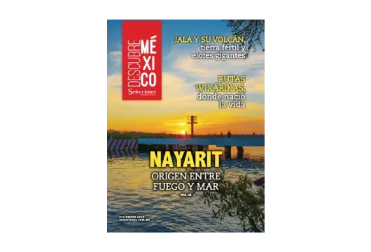 Ir a eBook