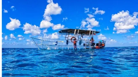 Tour de Cozumel en lancha transparente: arrecifes y barcos hundidos