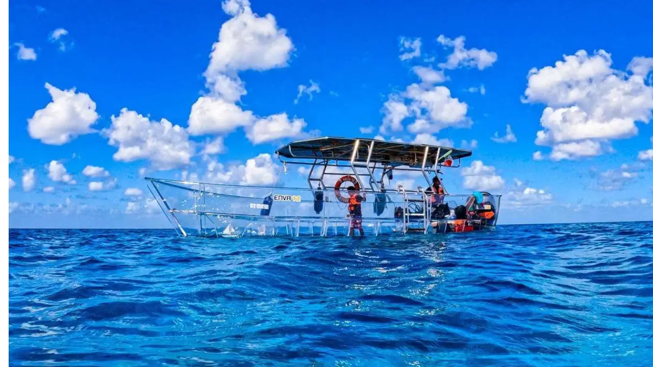 Tour de Cozumel en lancha transparente: arrecifes y barcos hundidos