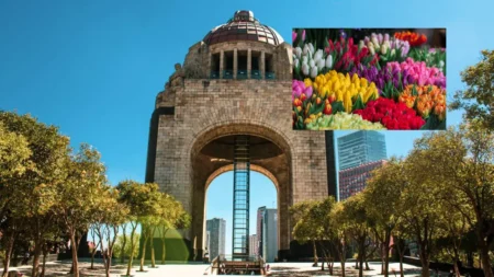 El Festival de las Flores 2026 se llevará a cabo del 20 al 22 de marzo en la explanada del Monumento a la Revolución, ubicado en la colonia Tabacalera, en la alcaldía Cuauhtémoc.