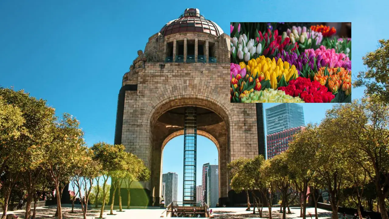 El Festival de las Flores 2026 se llevará a cabo del 20 al 22 de marzo en la explanada del Monumento a la Revolución, ubicado en la colonia Tabacalera, en la alcaldía Cuauhtémoc.