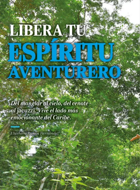 Descubre México Libera.