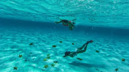 El Cielo en Cozumel: el lugar donde puedes nadar entre “estrellas”