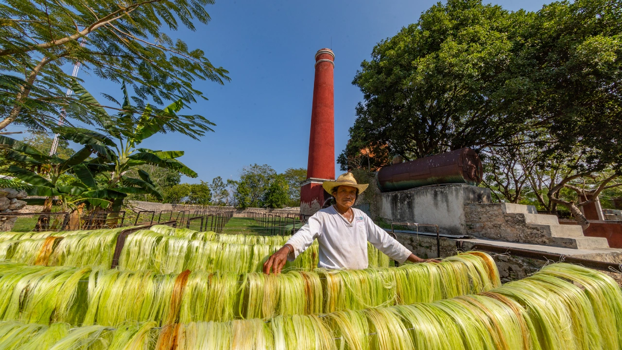 Mercados, artesanos y talento local: el pulso creativo de Yucatán