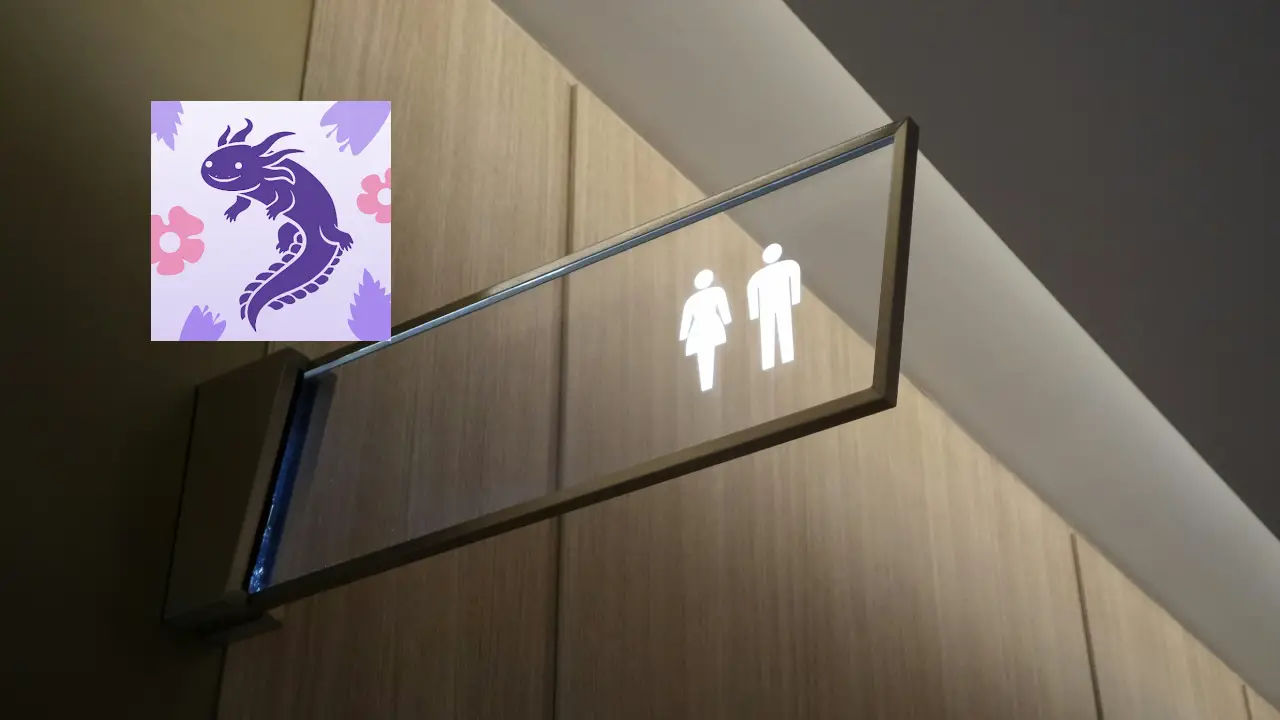 CDMX instala baños futuristas para el Mundial y se vuelven virales
