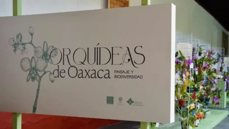 Exposición de orquídeas en Franz Mayer: flores únicas de Oaxaca en CDMX
