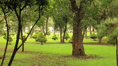 Parque Ecológico Loreto y Peña Pobre
