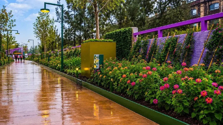 Jardín Flotante Tlallipan: horarios, ubicación y reglas para visitarlo