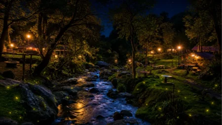 Luciérnagas en Los Dinamos iluminarán julio con teatro y naturaleza