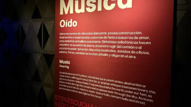 Imagen del artículo "México Aquí": Descubre la esencia de la CDMX a través de los sentidos