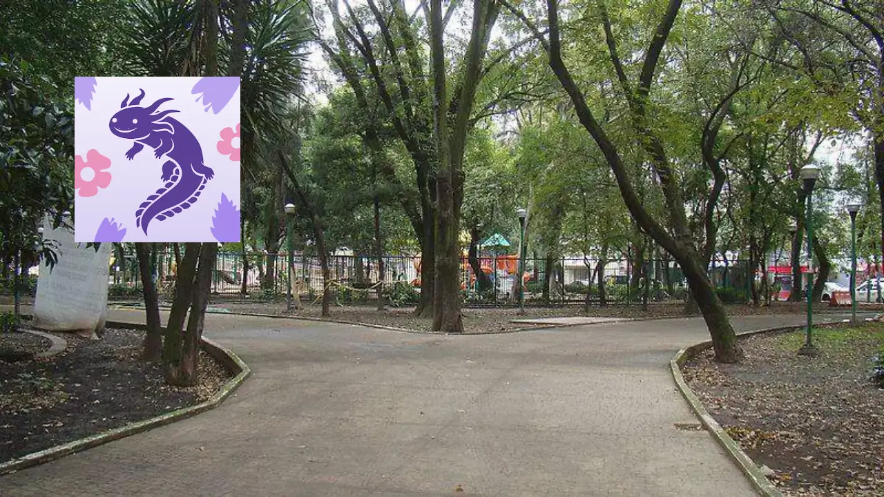 Ahuehuetes de Cuauhtémoc y Azcapotzalco ya son Patrimonio Natural de la CDMX
