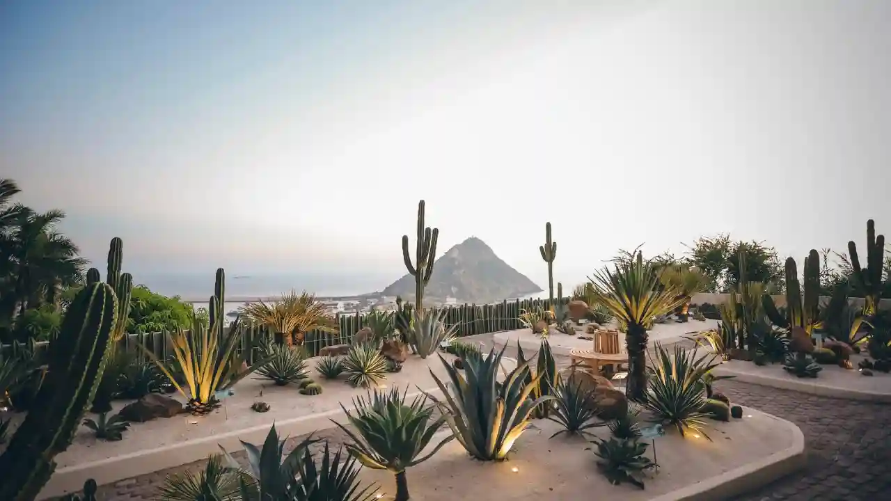 Mazatlán alternativo: experiencias únicas para este verano