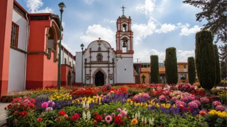 San Lorenzo Tlacotepec: plantas baratas y viveros cerca de la CDMX
