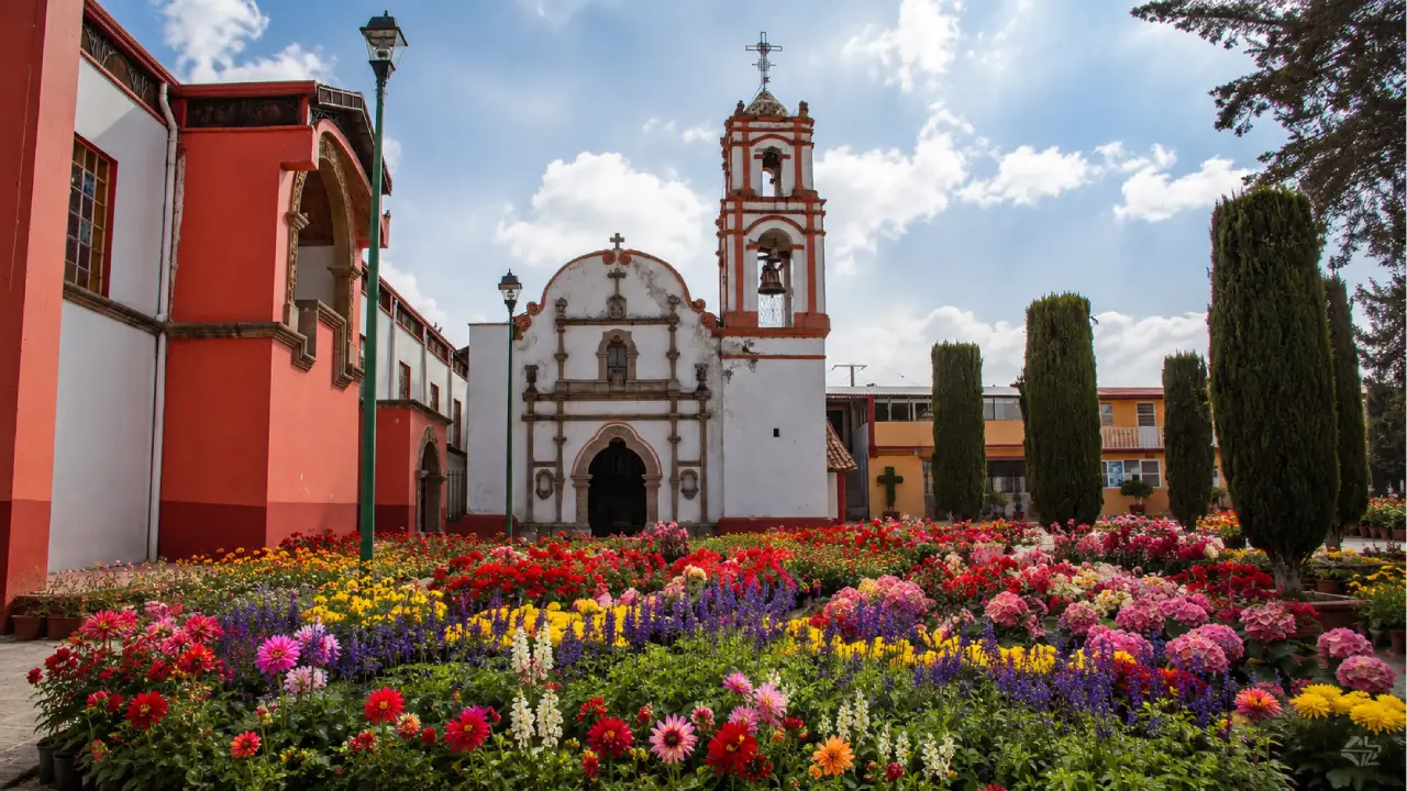 San Lorenzo Tlacotepec: plantas baratas y viveros cerca de la CDMX