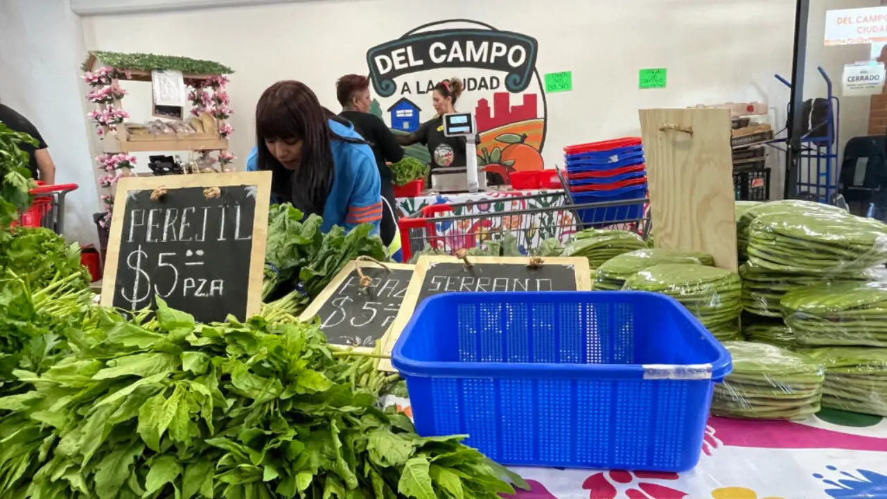 Tienda de la Tierra y Del Campo a la Ciudad: la nueva forma de comprar barato en CDMX