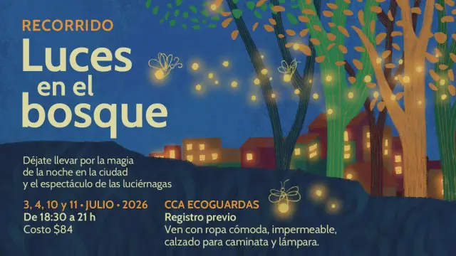 luciérnagas Ciudad de México